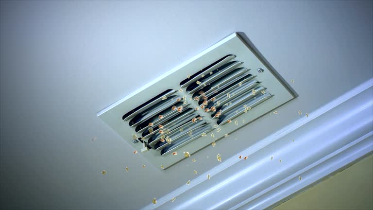 Best Air Duct Mold Removal  in Berwyn, IL