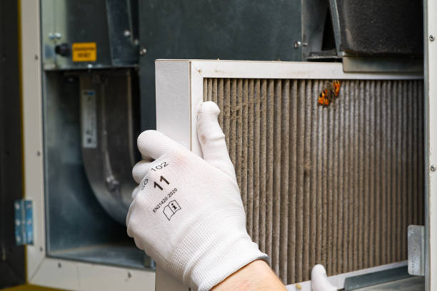Best Air Vent Cleaning Services  in Berwyn, IL