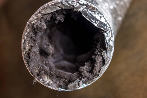 Best Ventilation Cleaning Services  in Berwyn, IL